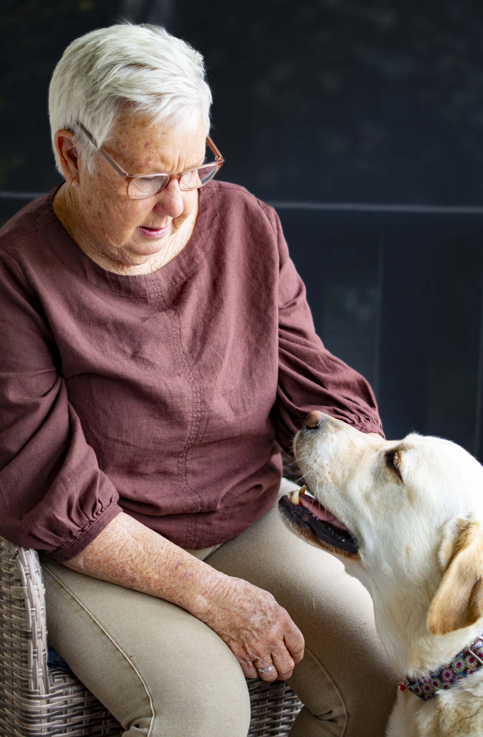 An older woman in a maroon top and glasses looks down at her golden labrador dog. The dog is looking back up at the woman.